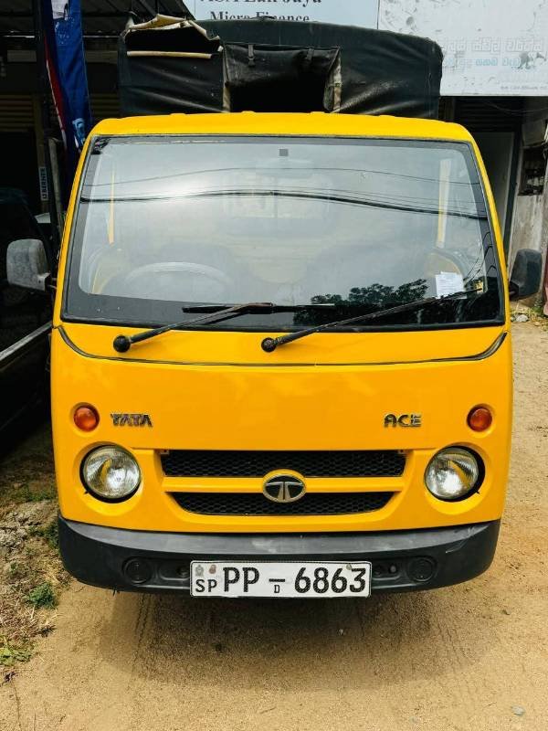 Dimo Batta for sale