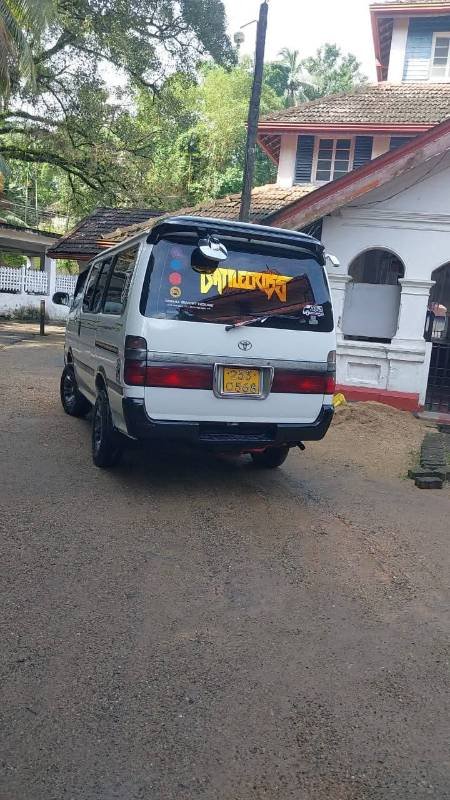 Dolphin van for sale