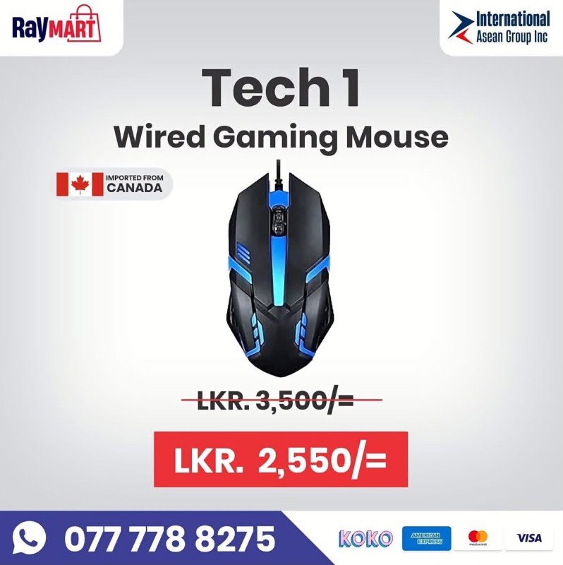 Mouse