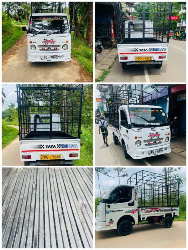 Dimo batta for sale