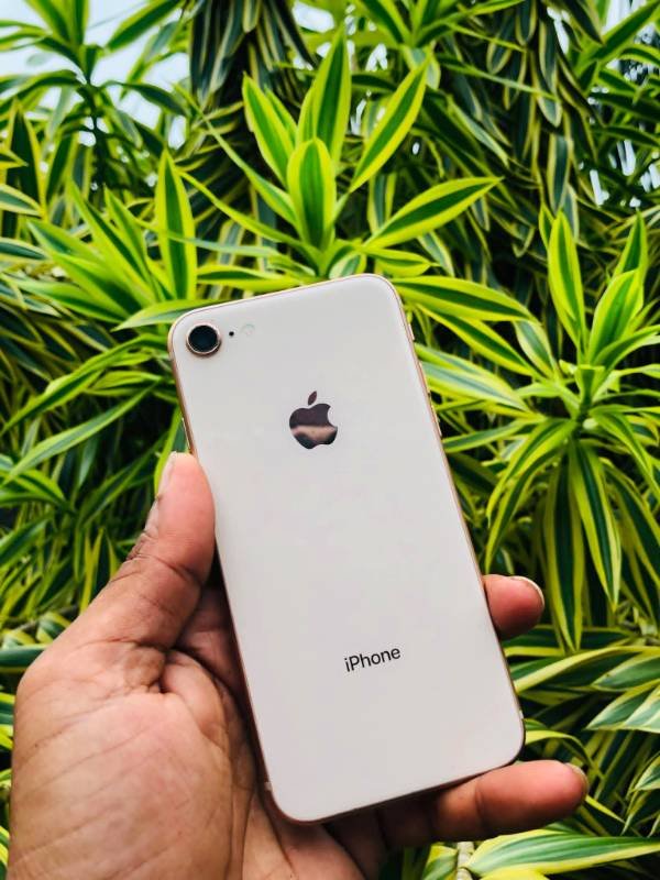 iphone 8