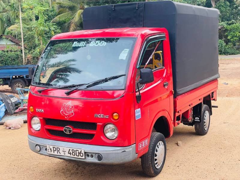 Dimo Batta for sale
