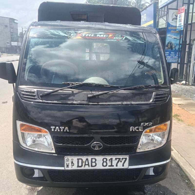 Dimo batta for sale