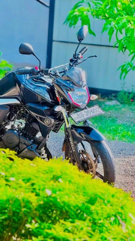Yamaha Fz v2 For Sale