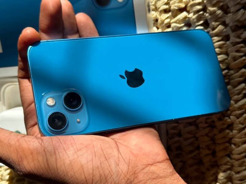 Apple 13
