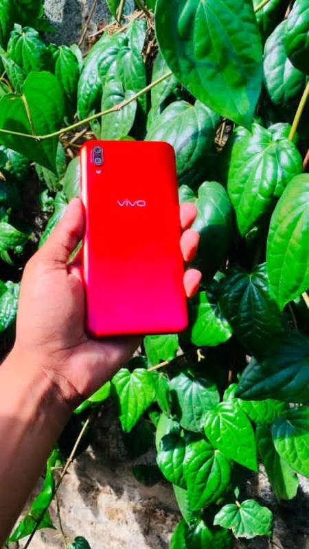 Vivo Y93