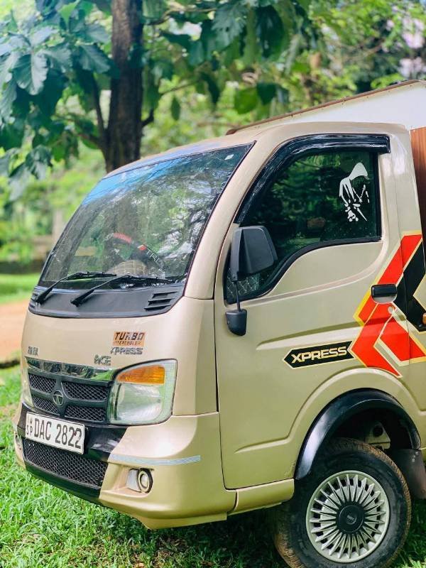 Dimo Batta for sale