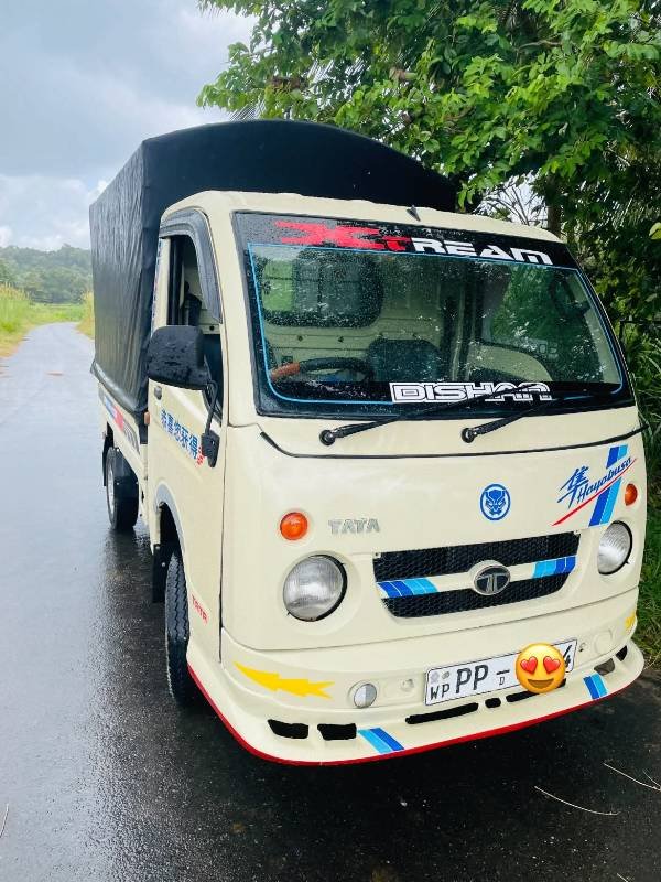 Dimo Batta for sale