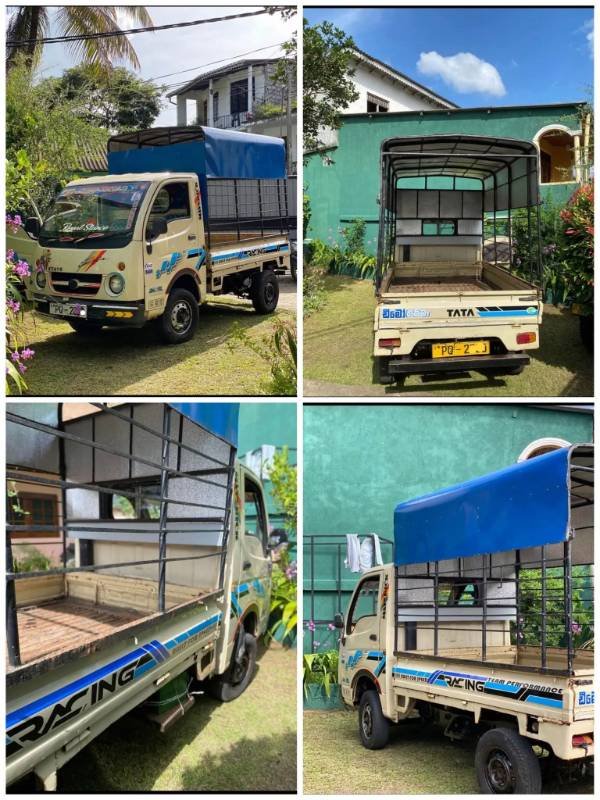 Dimo batta for sale