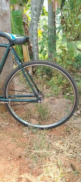 bicycles